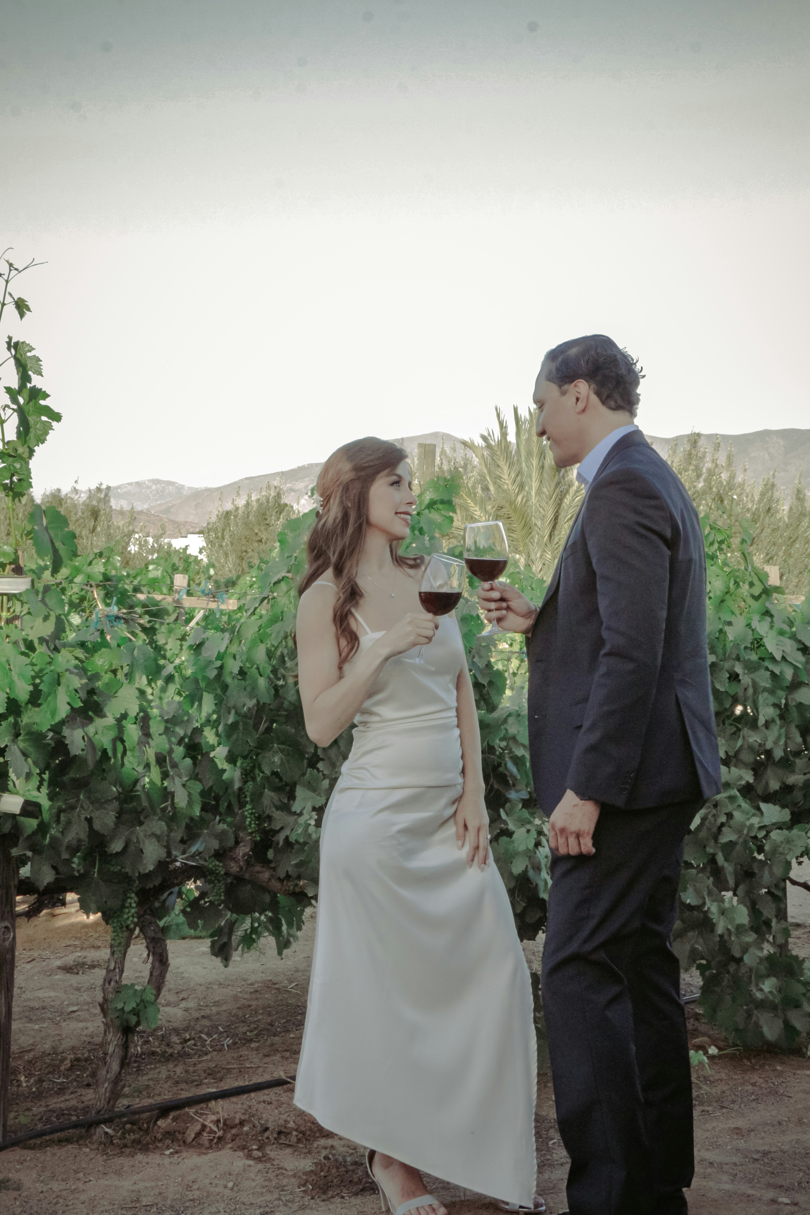 French winemaker couple in vineyard at sunset, Provence hills in background, warm golden light
