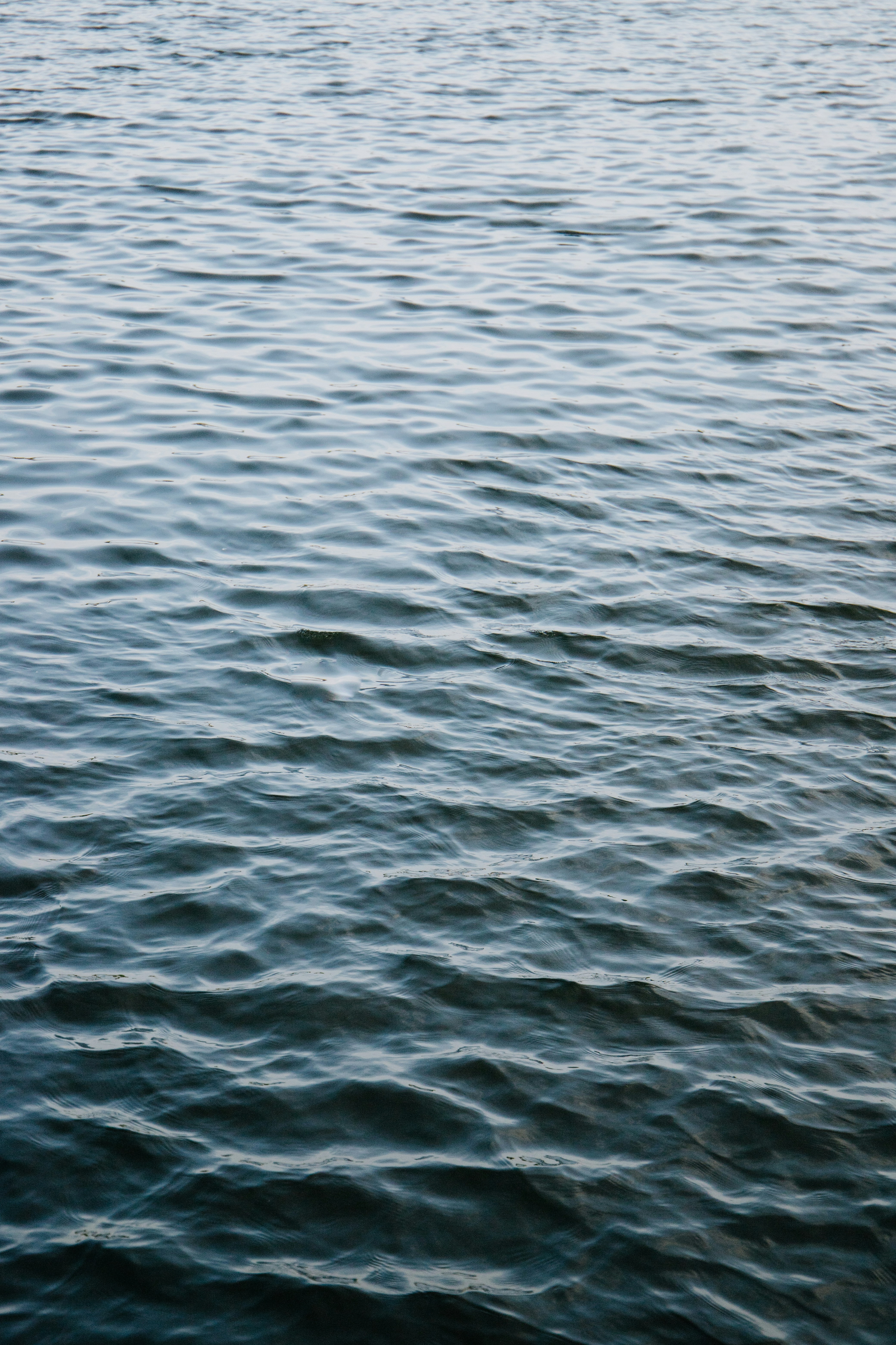 Photo by katharina_bill