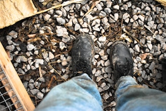A pair of worn black boots standing on a surface covered with small gray gravel and twigs. The lower part of blue jeans is visible, suggesting a casual or work setting. Surrounding elements include pieces of wood and wire mesh in the corners.