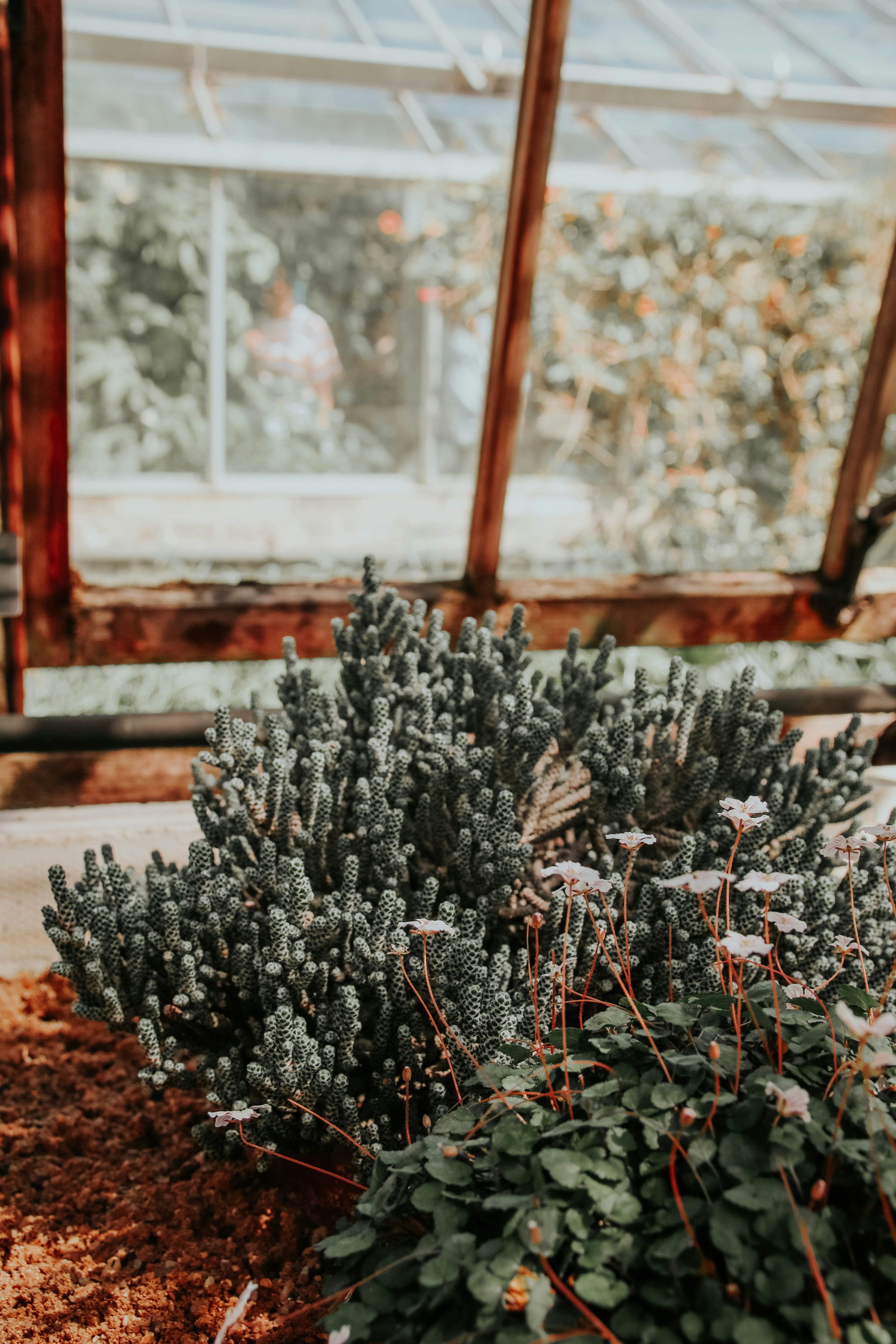 Photo by lanathegraves