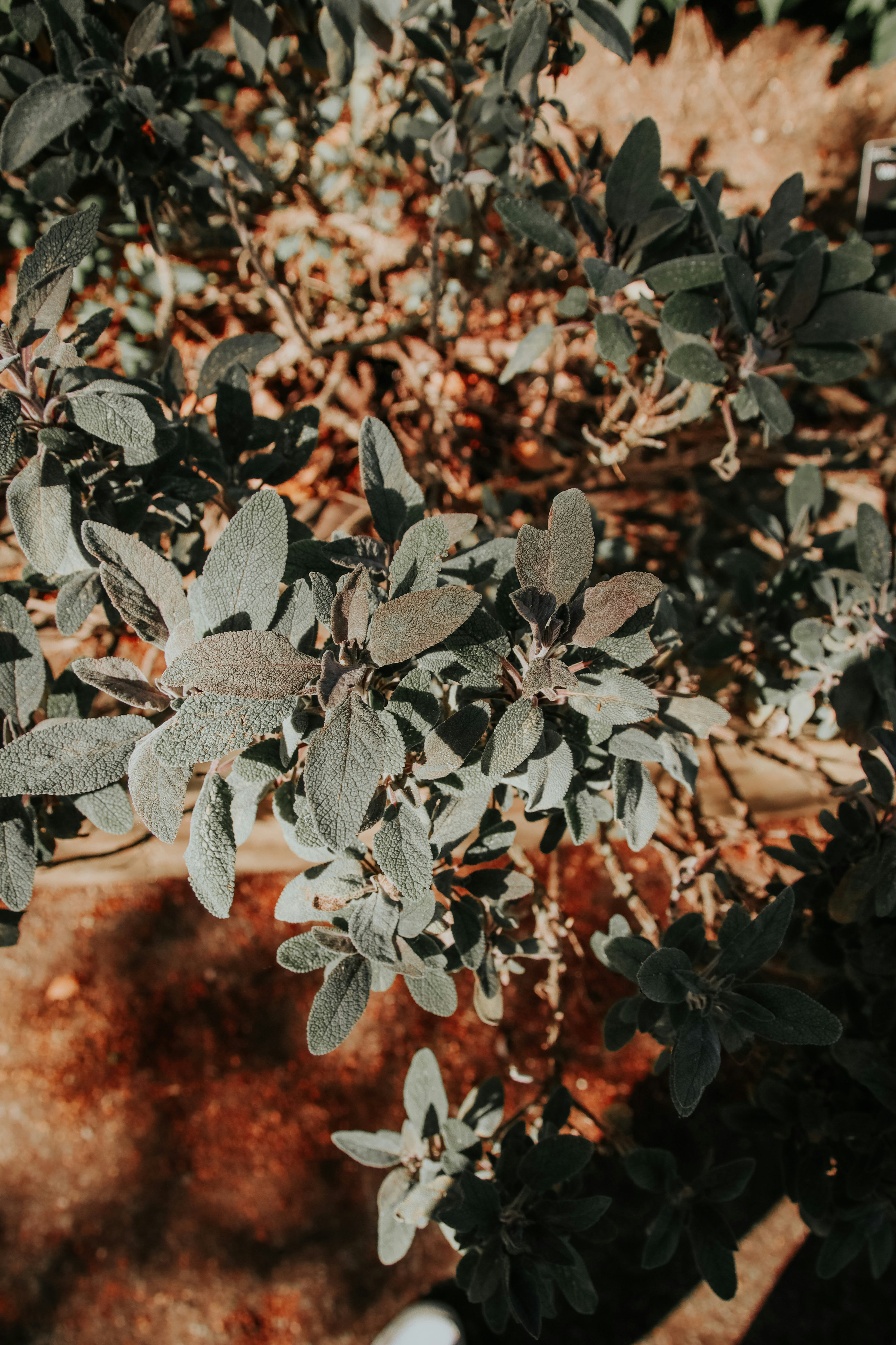 Photo by lanathegraves