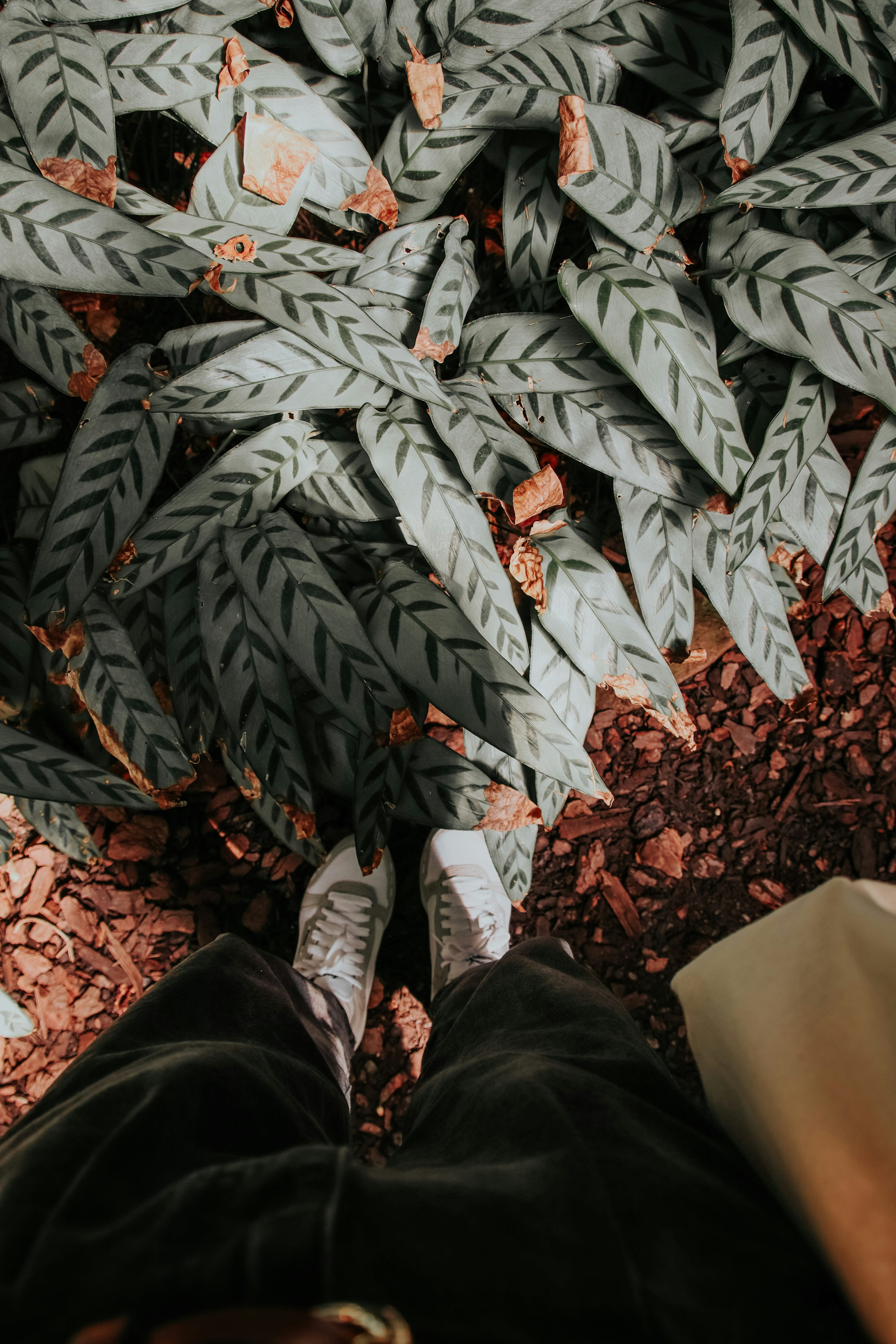 Photo by lanathegraves