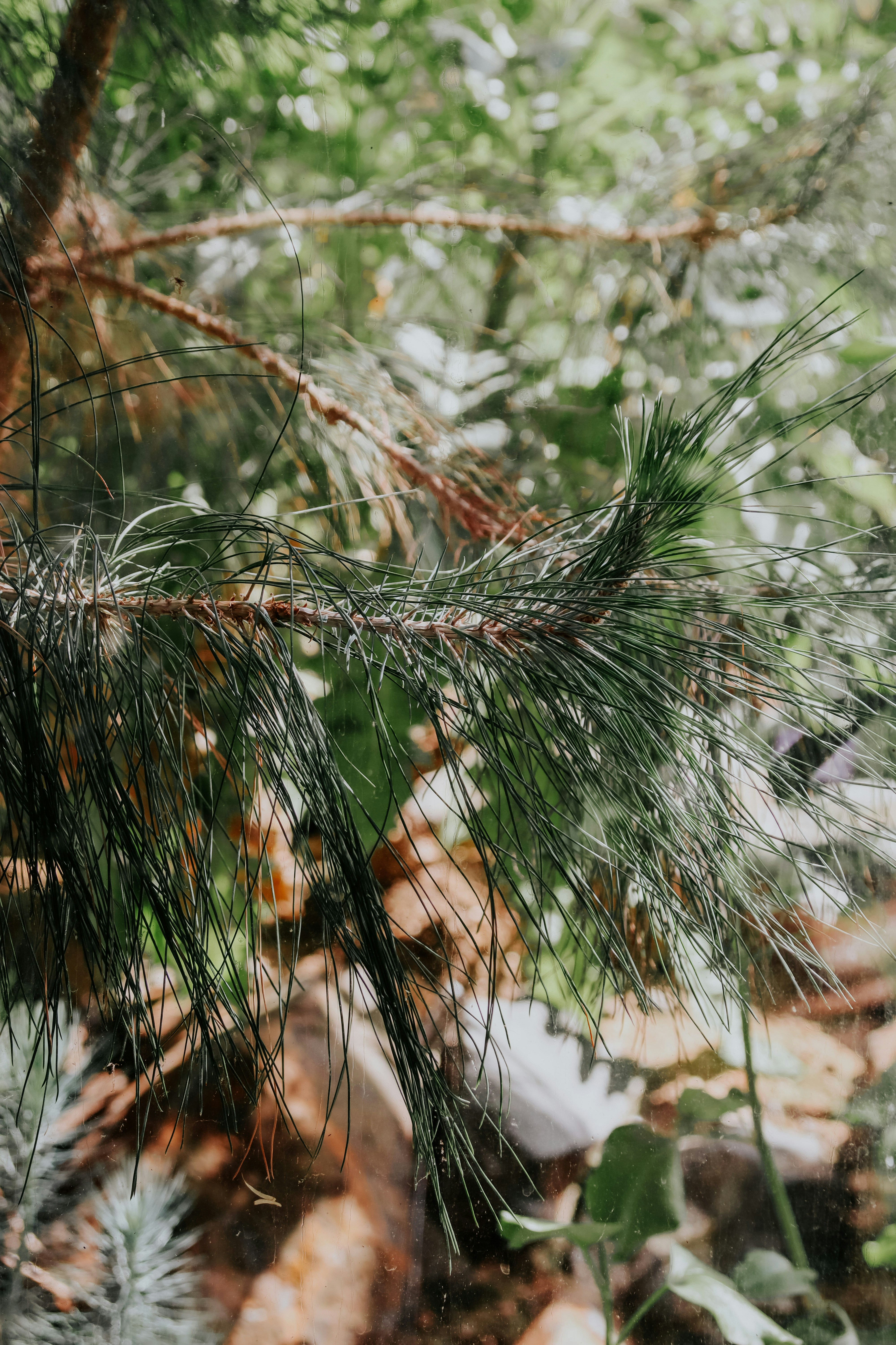 Photo by lanathegraves