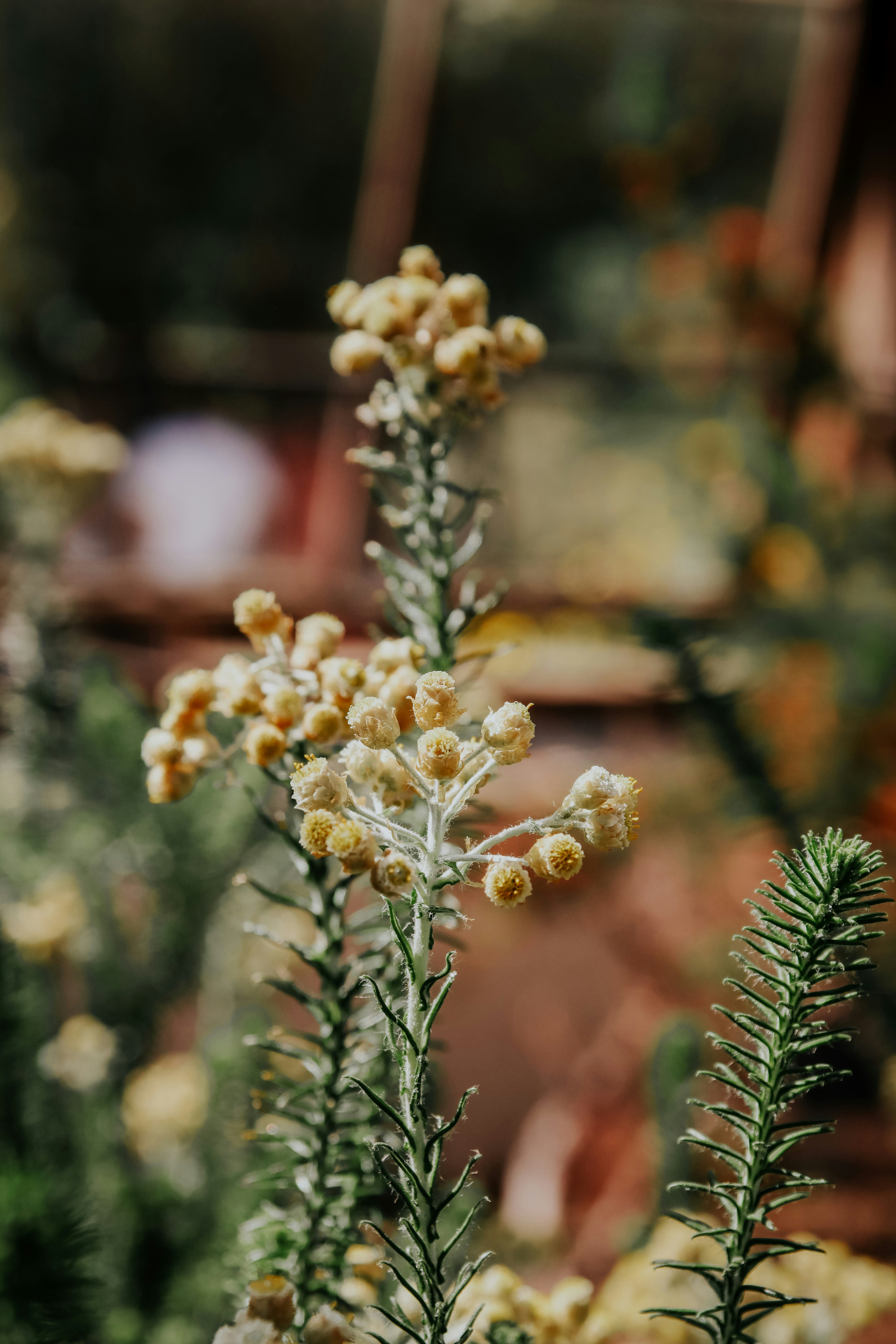 Photo by lanathegraves