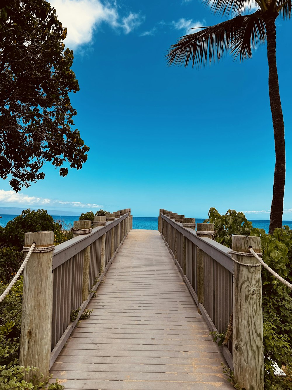 a walkway leading to the ocean with a palm tree in the foreground