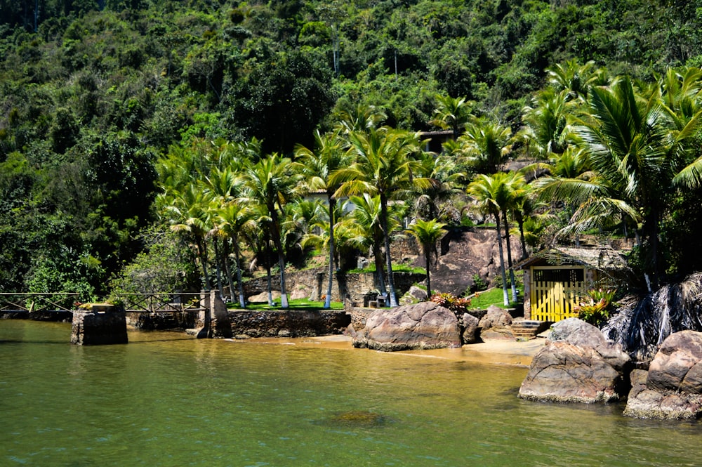 a body of water surrounded by palm trees
