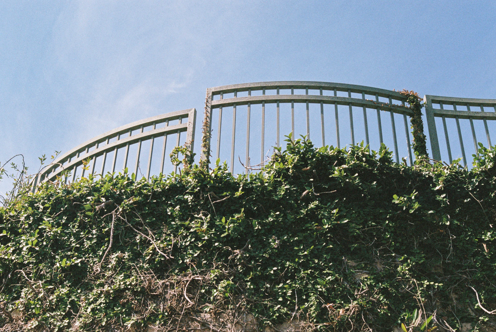 Aluminum picket fence along a walkway