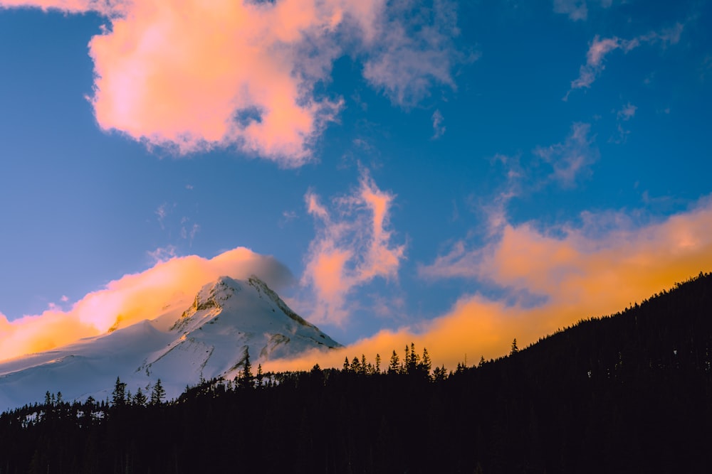 a mountain covered in clouds and trees under a blue sky