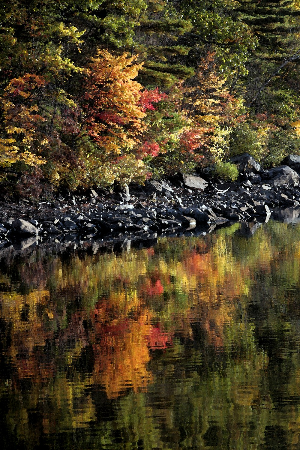 a body of water surrounded by trees and rocks