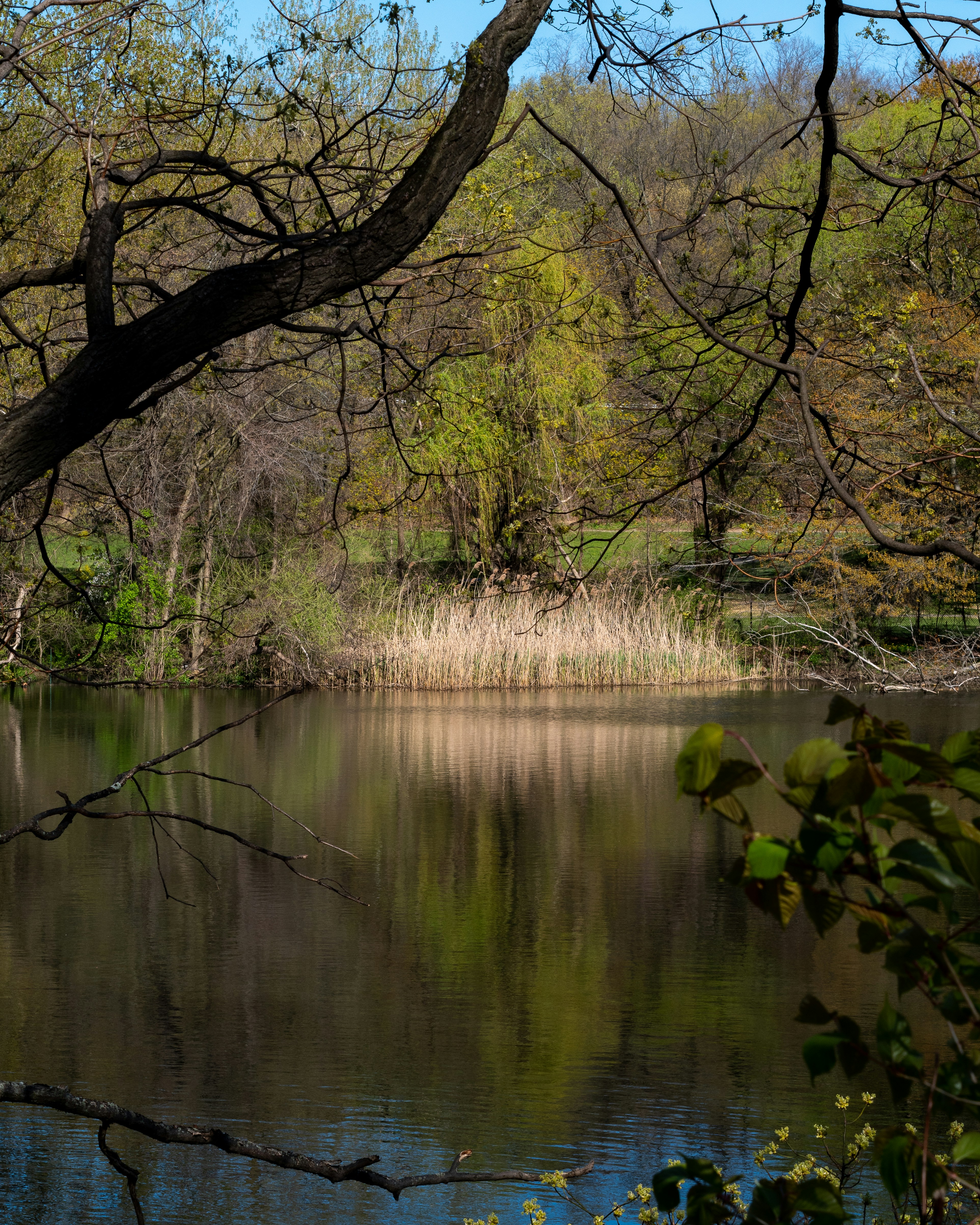 Photo by gabrielalmanzar