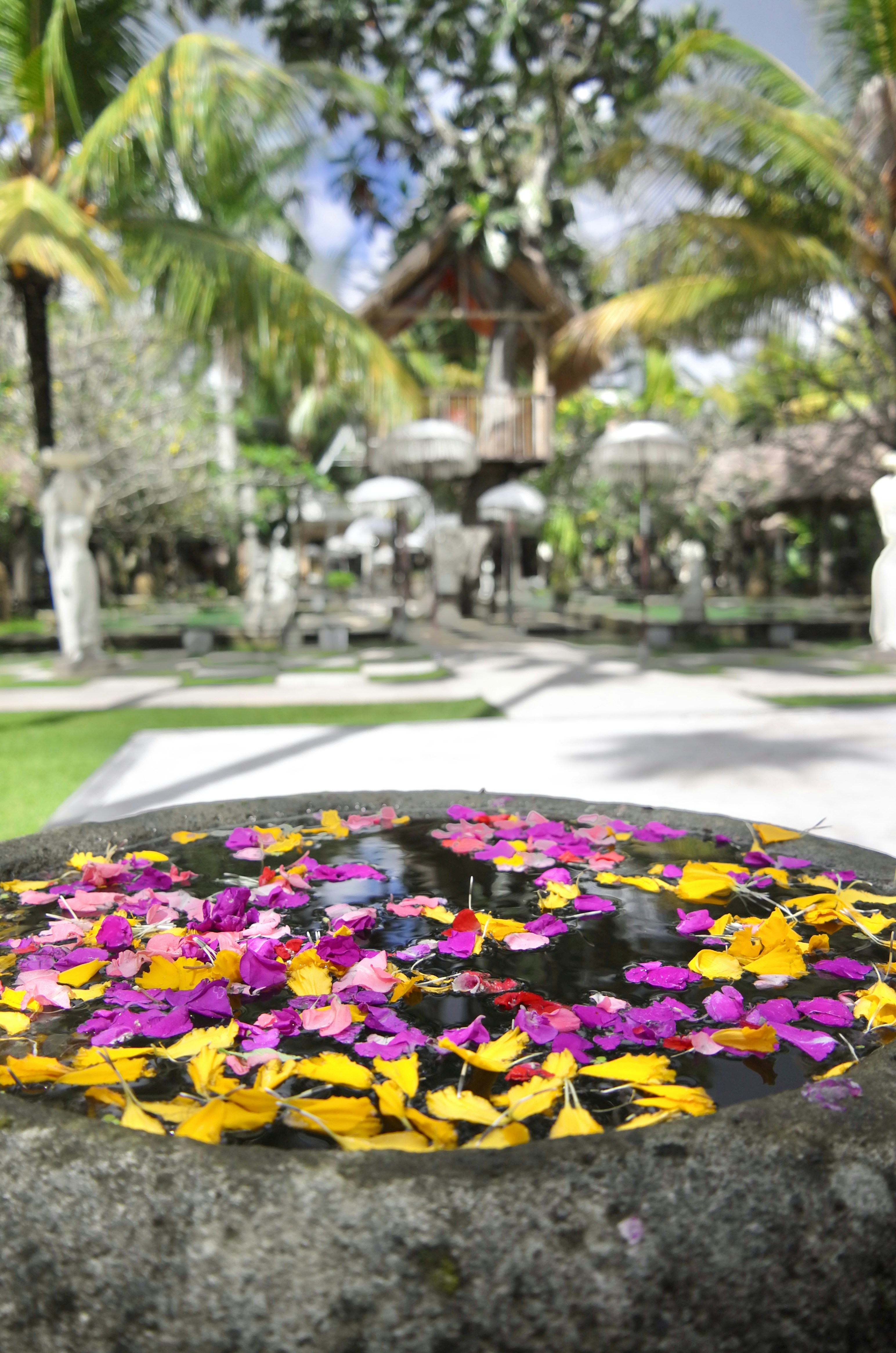 a stone bowl with flowers floating in it