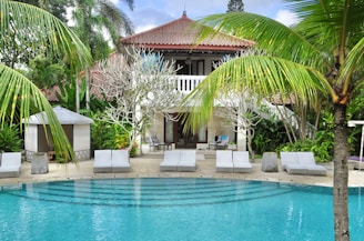 a swimming pool surrounded by palm trees and chairs
