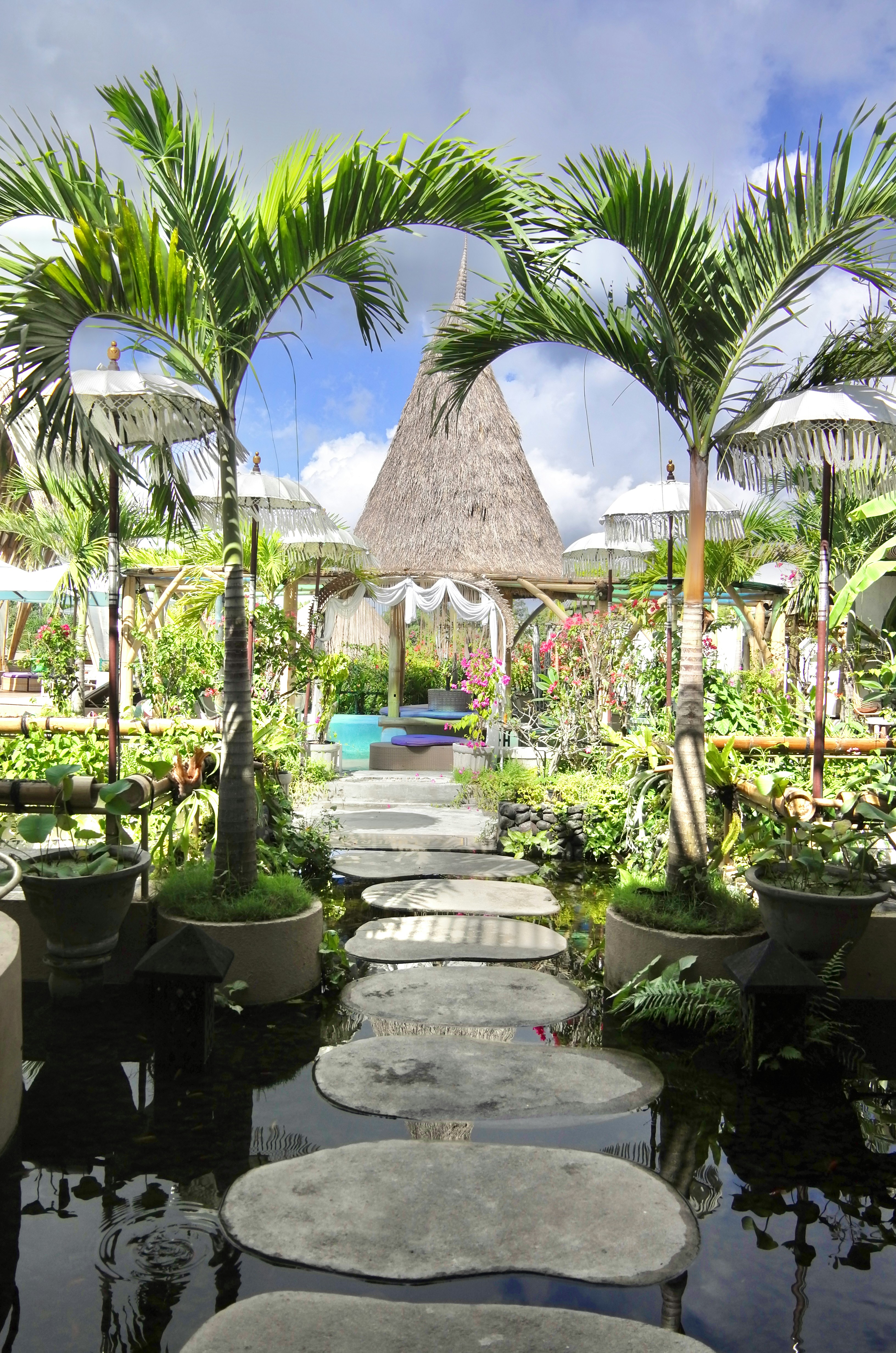 a garden with a pool surrounded by palm trees