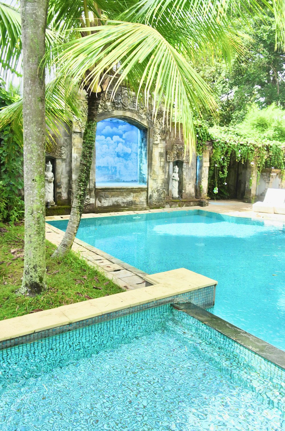 a large swimming pool surrounded by a lush green forest