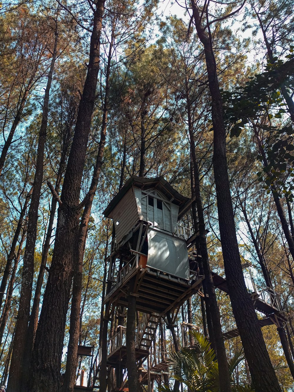 a tree house in the middle of a forest