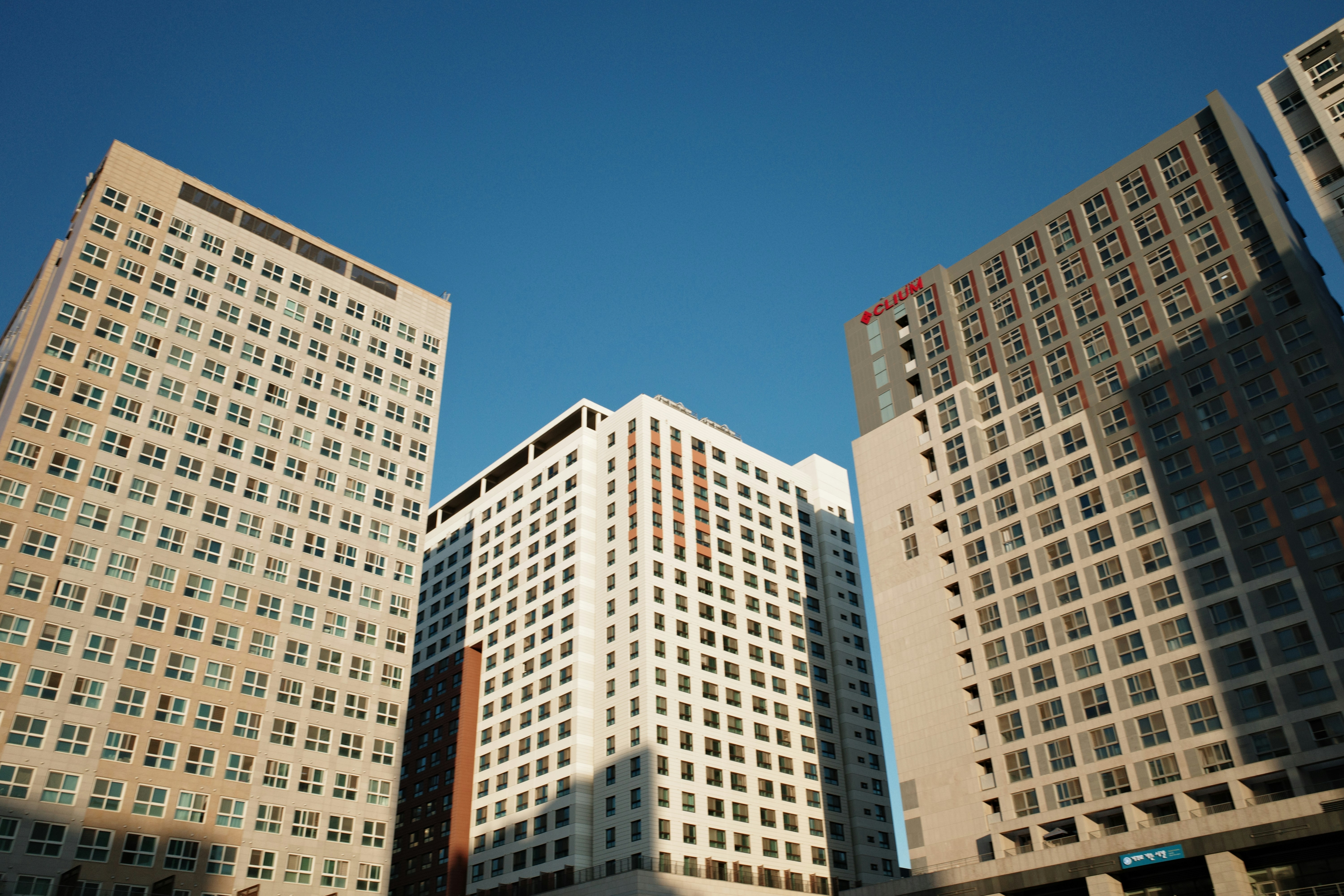 Photo by undermyarchive