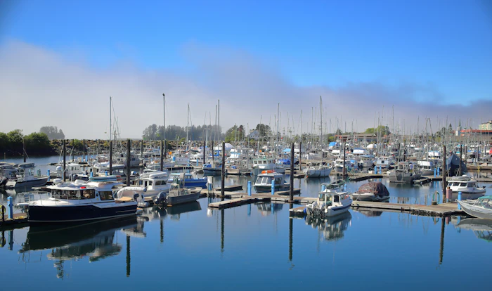 Sitka