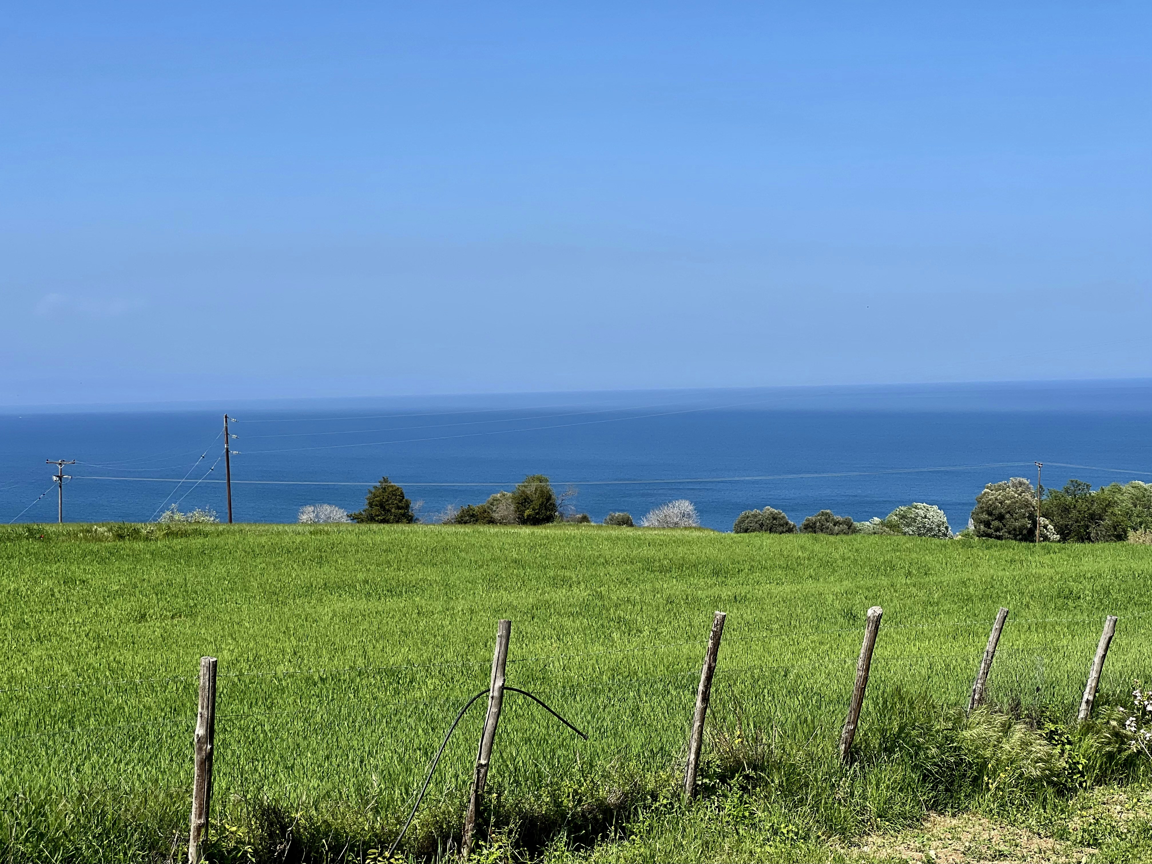 Photo by muscarius36