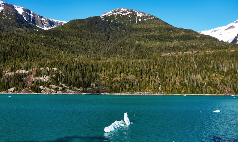 a large body of water surrounded by mountains