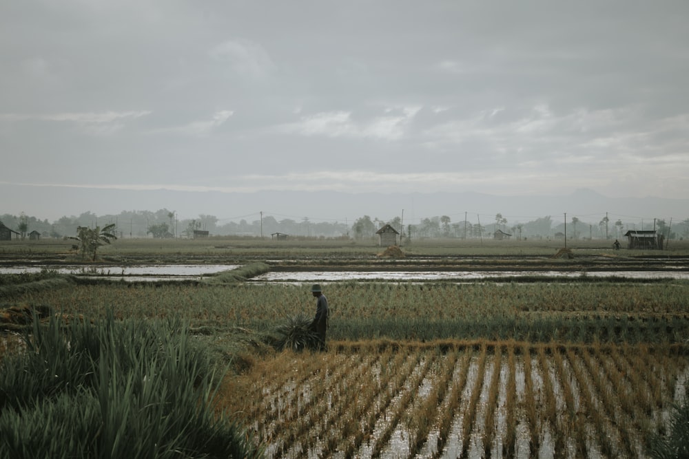 a man standing in a field next to a lush green field