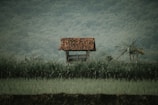 A small, rustic wooden shelter with a red-tiled roof is situated amidst lush green fields and tall grass. The background features a dense forest, creating a tranquil and natural setting. A banana plant can be seen nearby, adding to the rural, serene landscape.