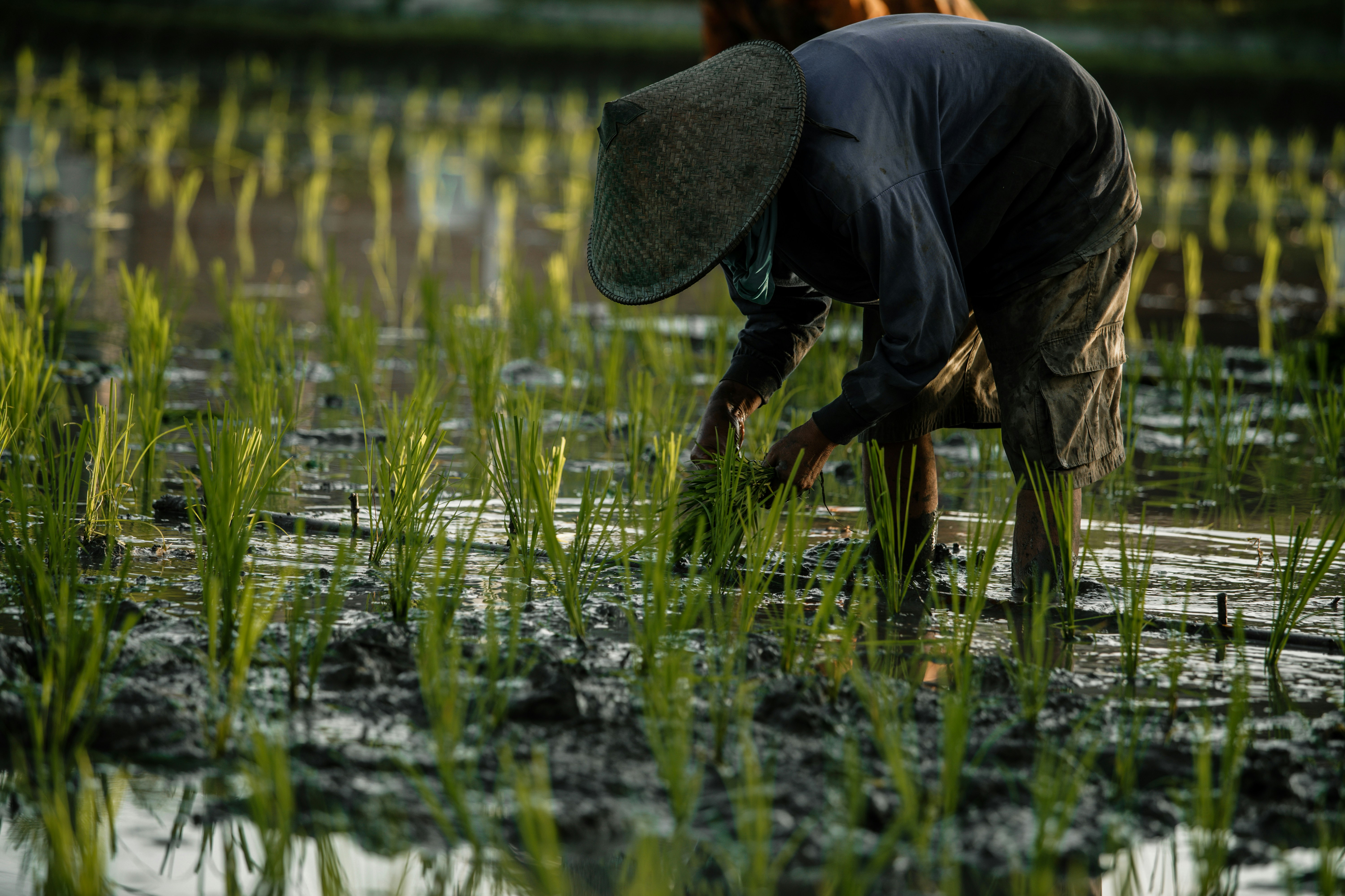 Photo by mahendra_putra