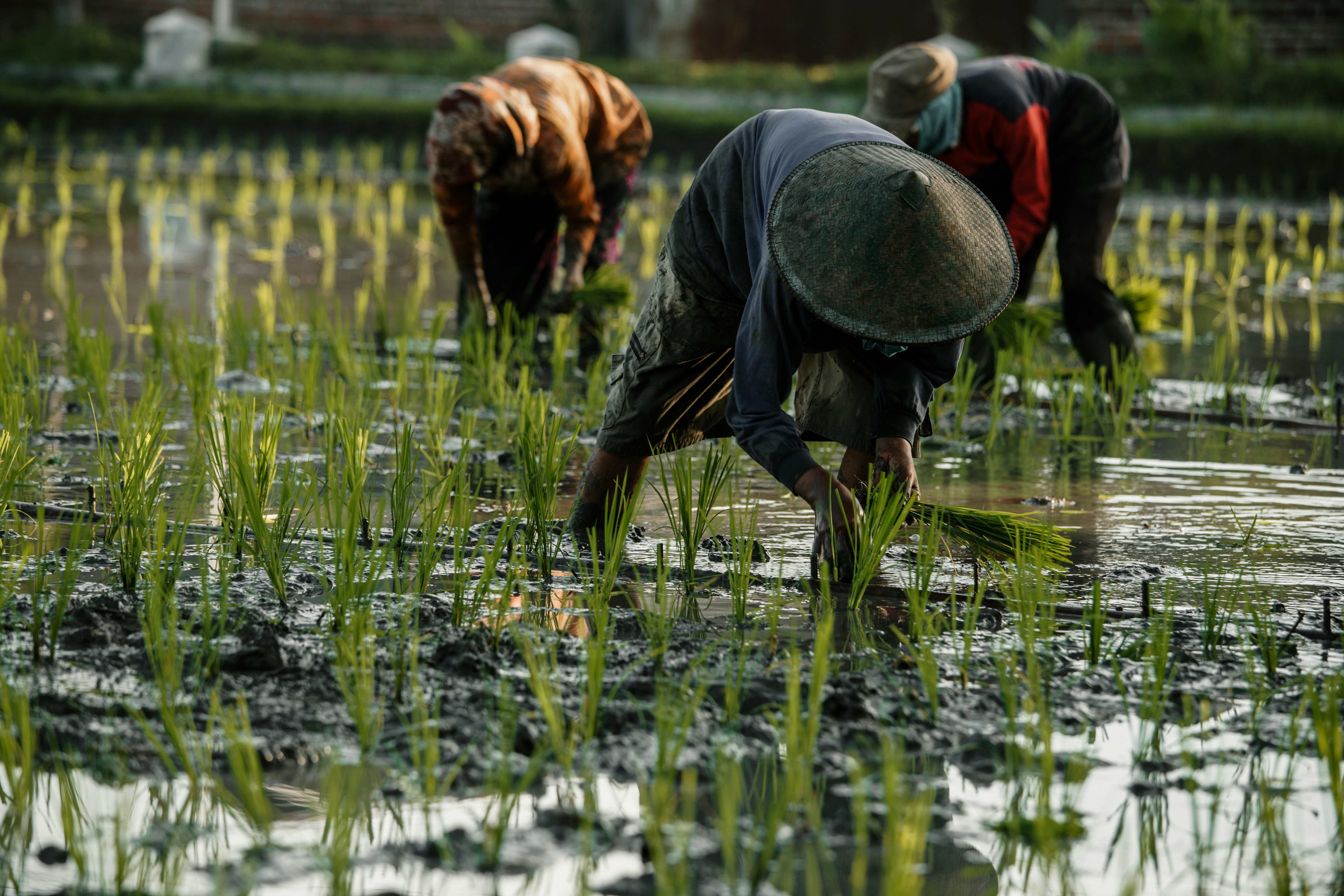 Photo by mahendra_putra