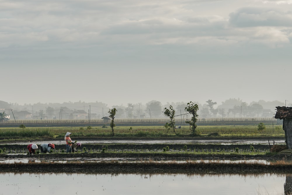 a group of people standing on top of a lush green field