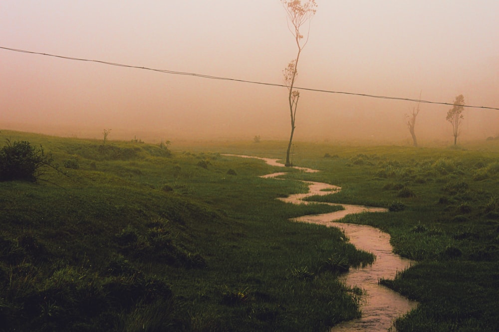 a stream running through a lush green field