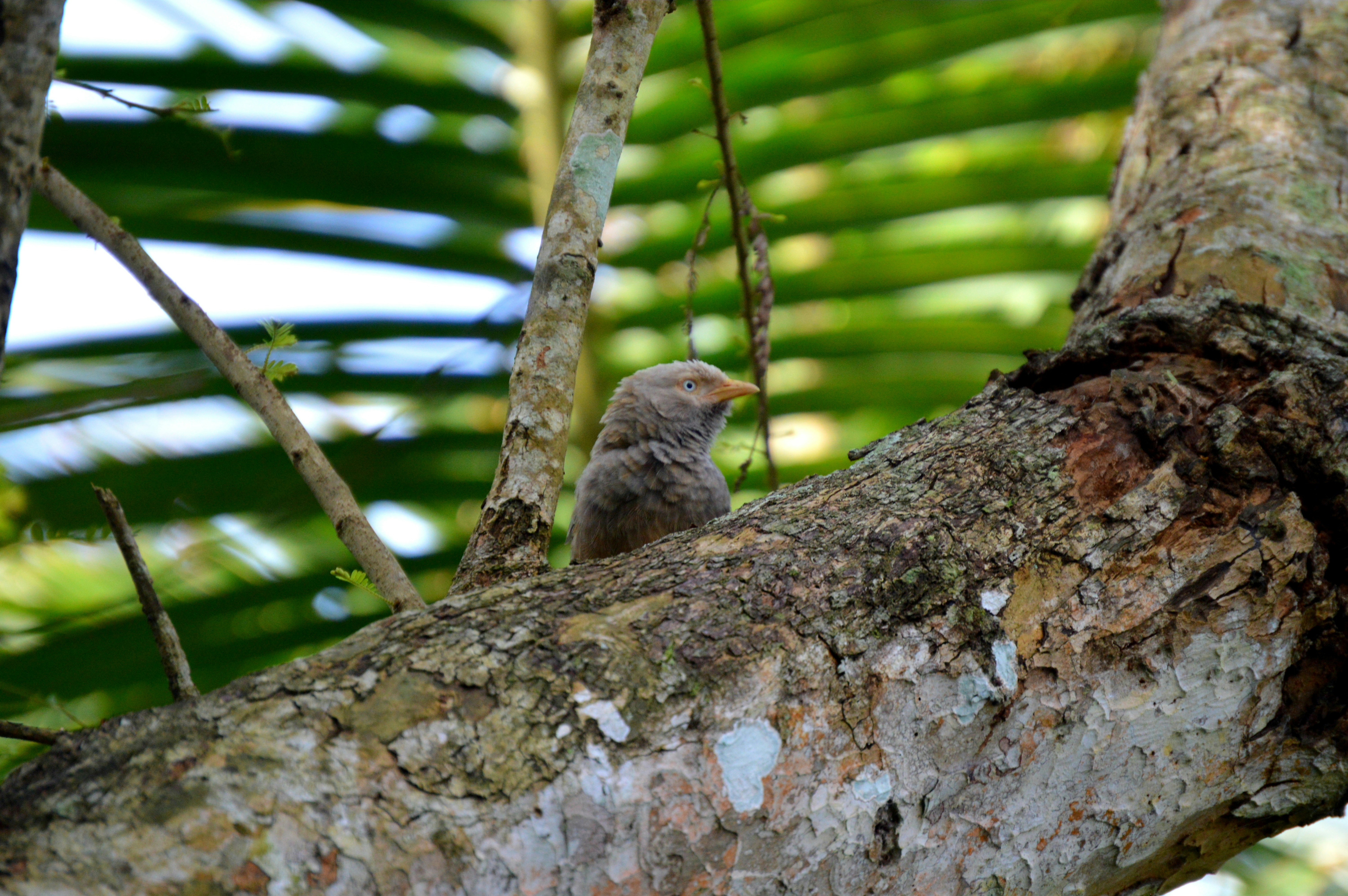 Photo by jithinvijayamohanan