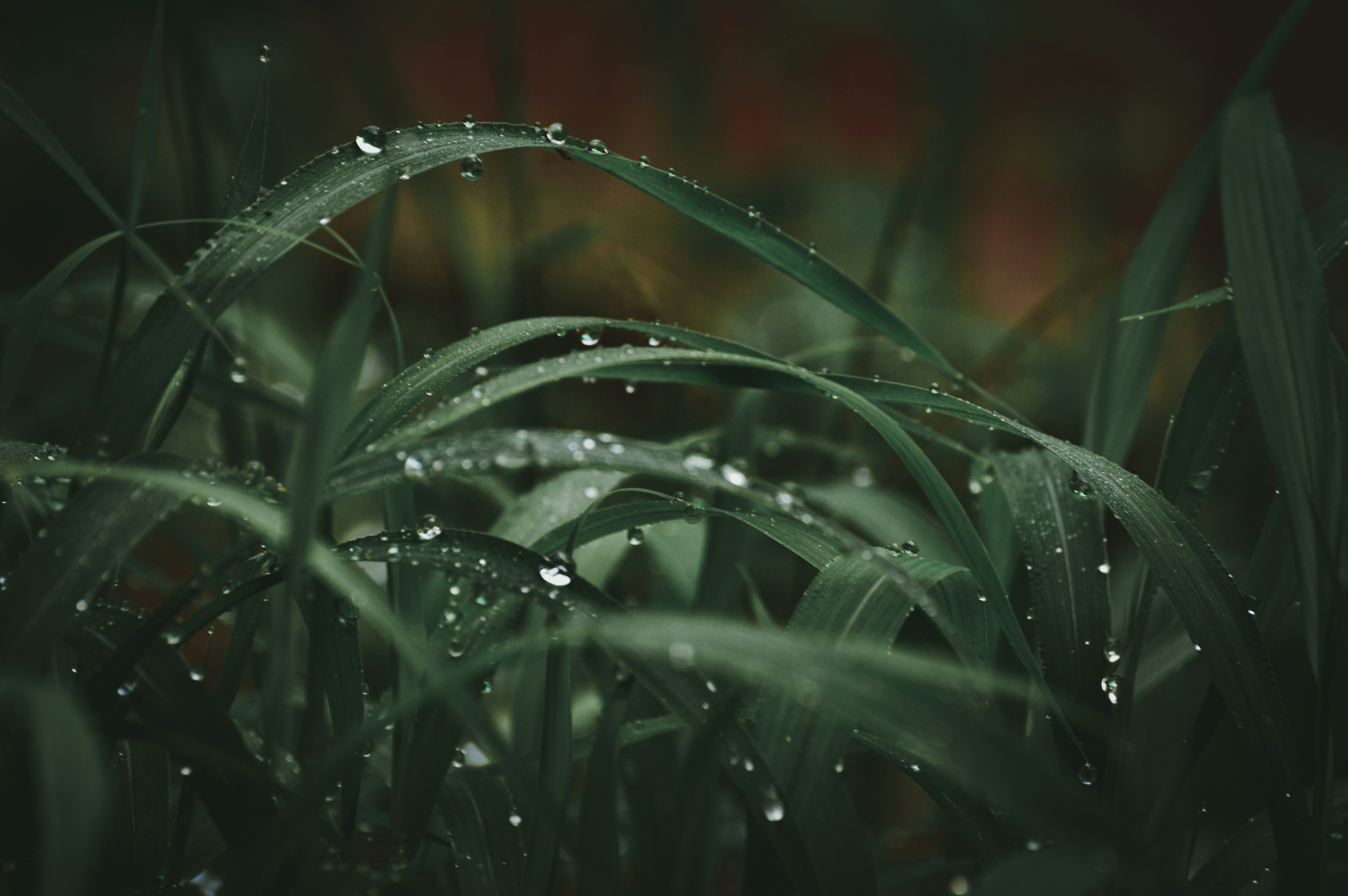 Photo by jithinvijayamohanan