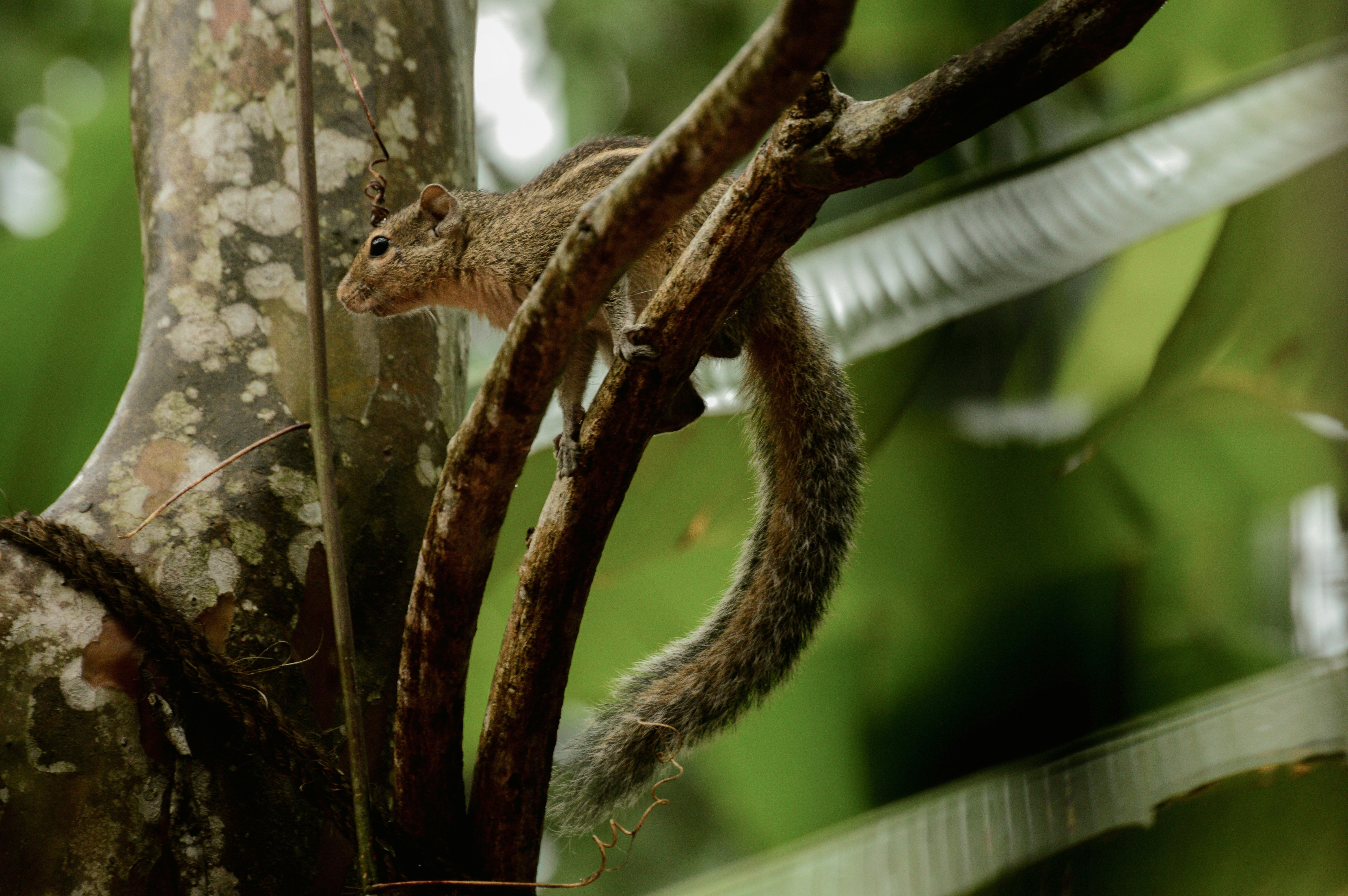 Photo by jithinvijayamohanan