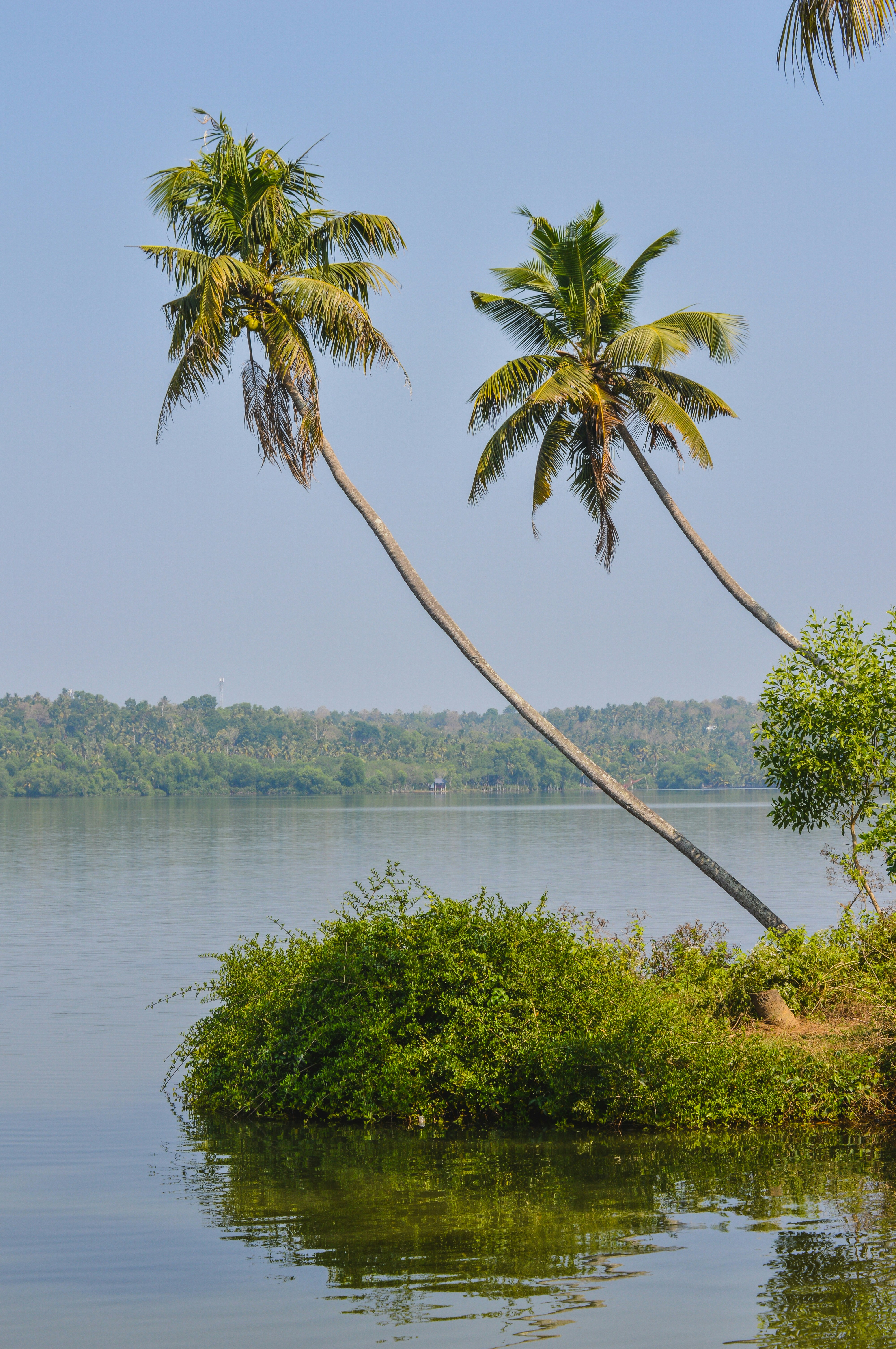 Photo by jithinvijayamohanan