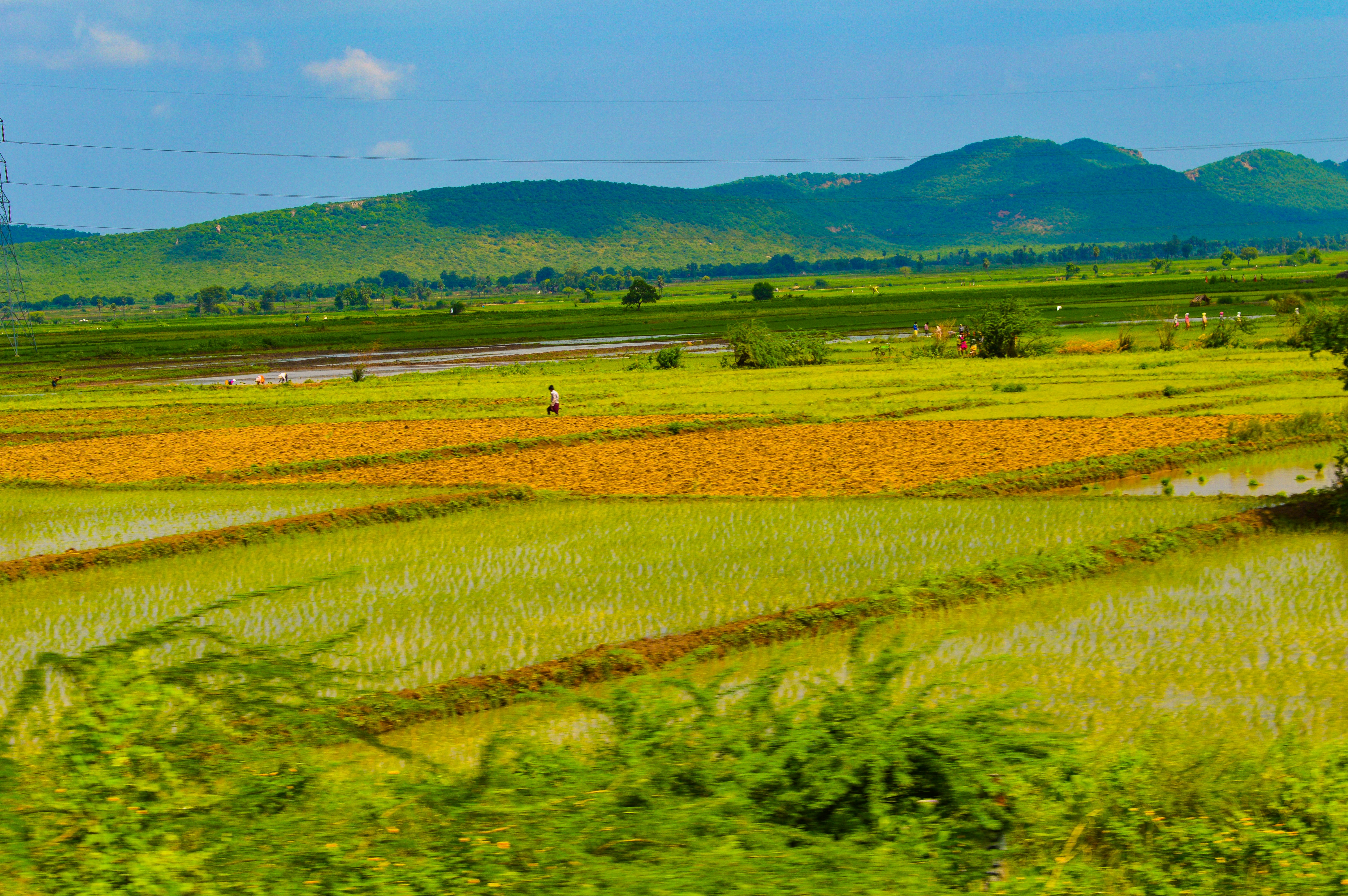 Photo by jithinvijayamohanan