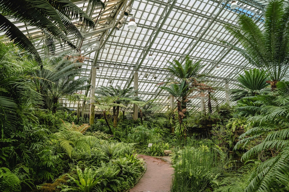 the inside of a large greenhouse with lots of trees and plants