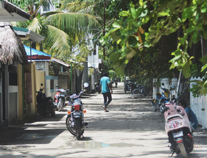 Best Airbnb Neighborhoods