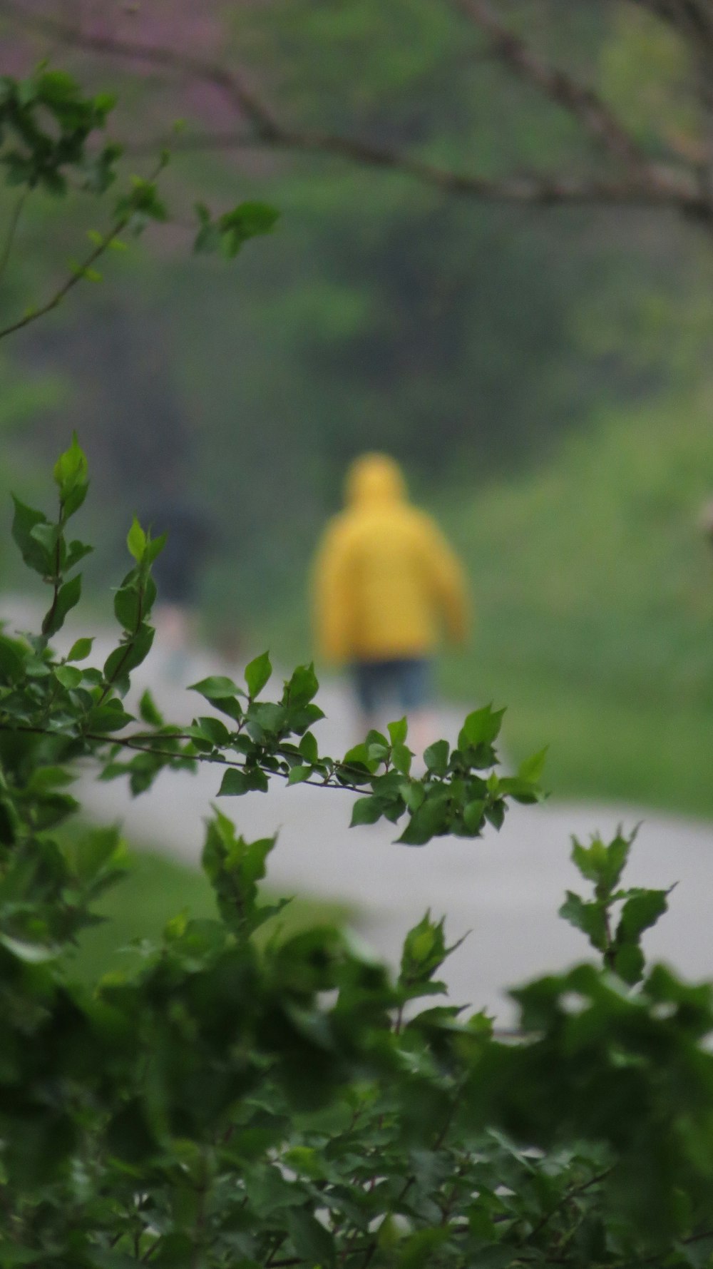 a person walking down a road with a yellow jacket on