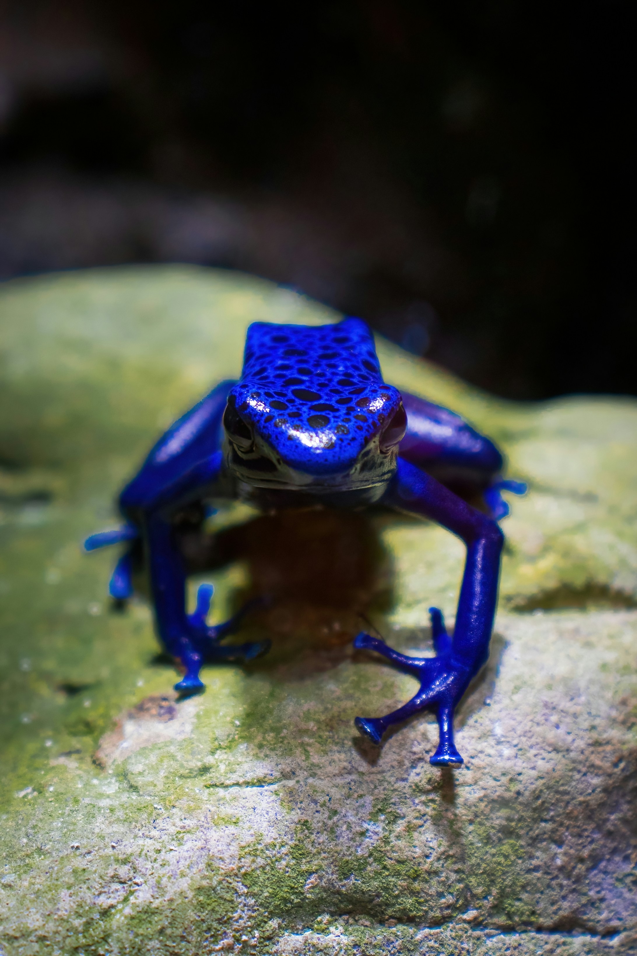 Photo by kriplok