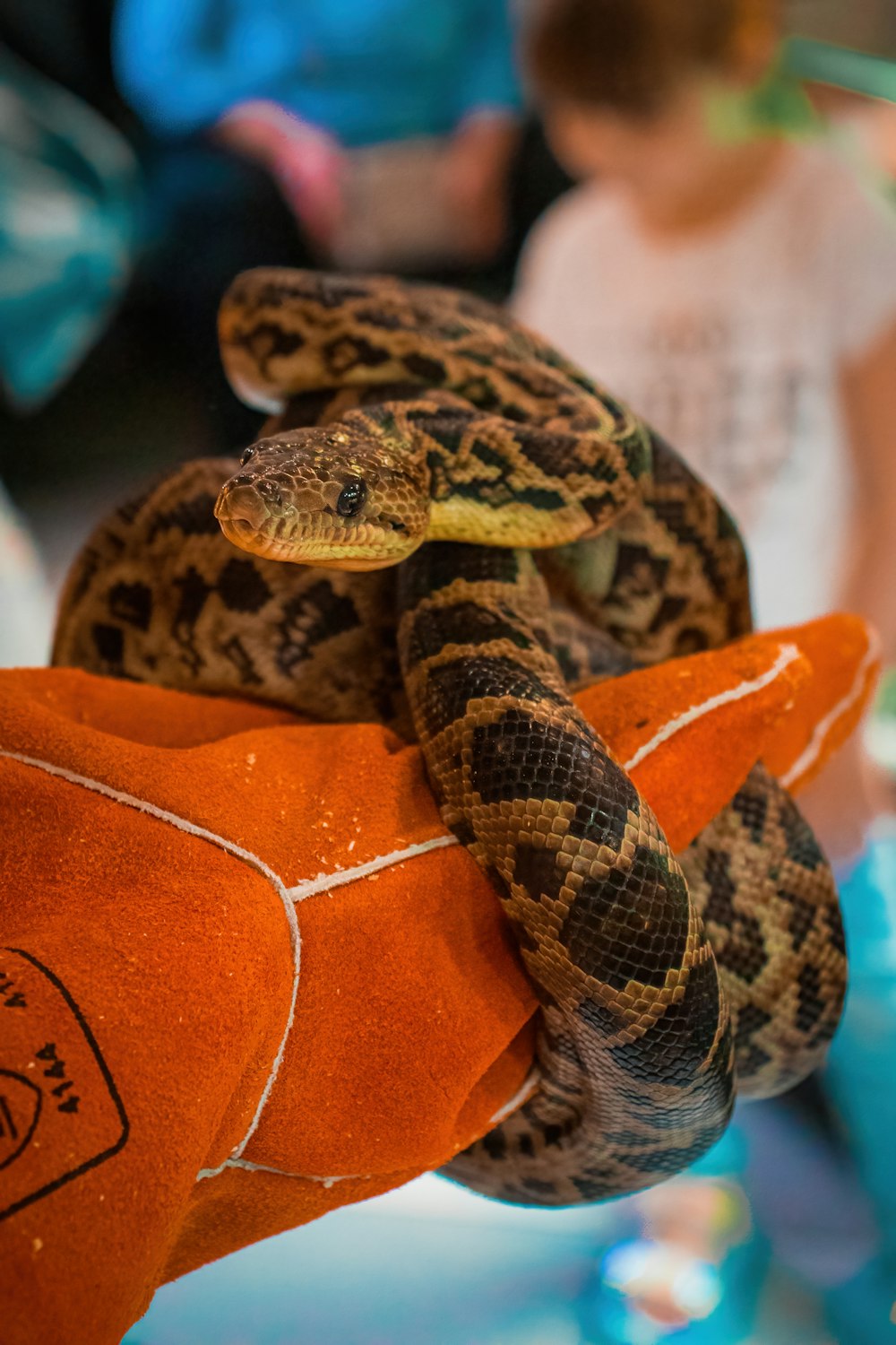 a stuffed snake is held in a person's hand