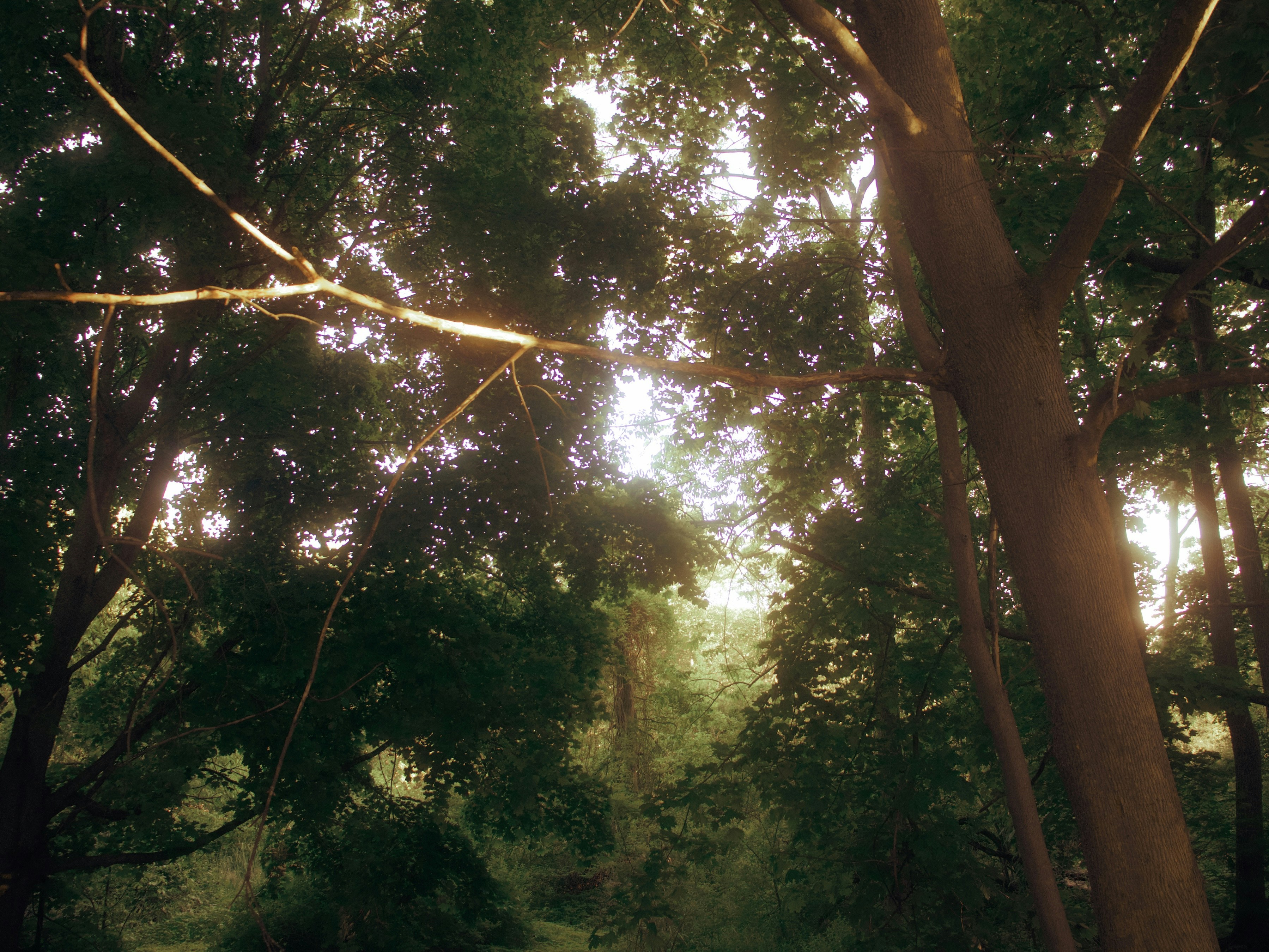 Photo by yiquanzhang