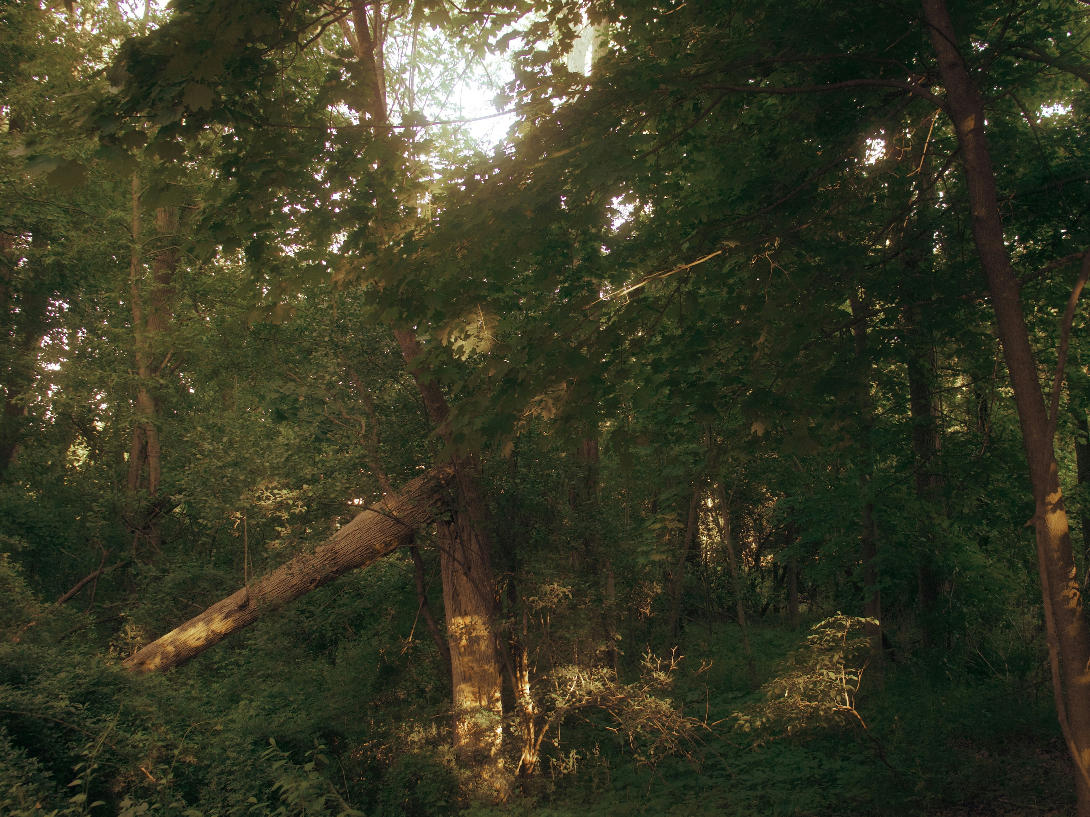 Photo by yiquanzhang