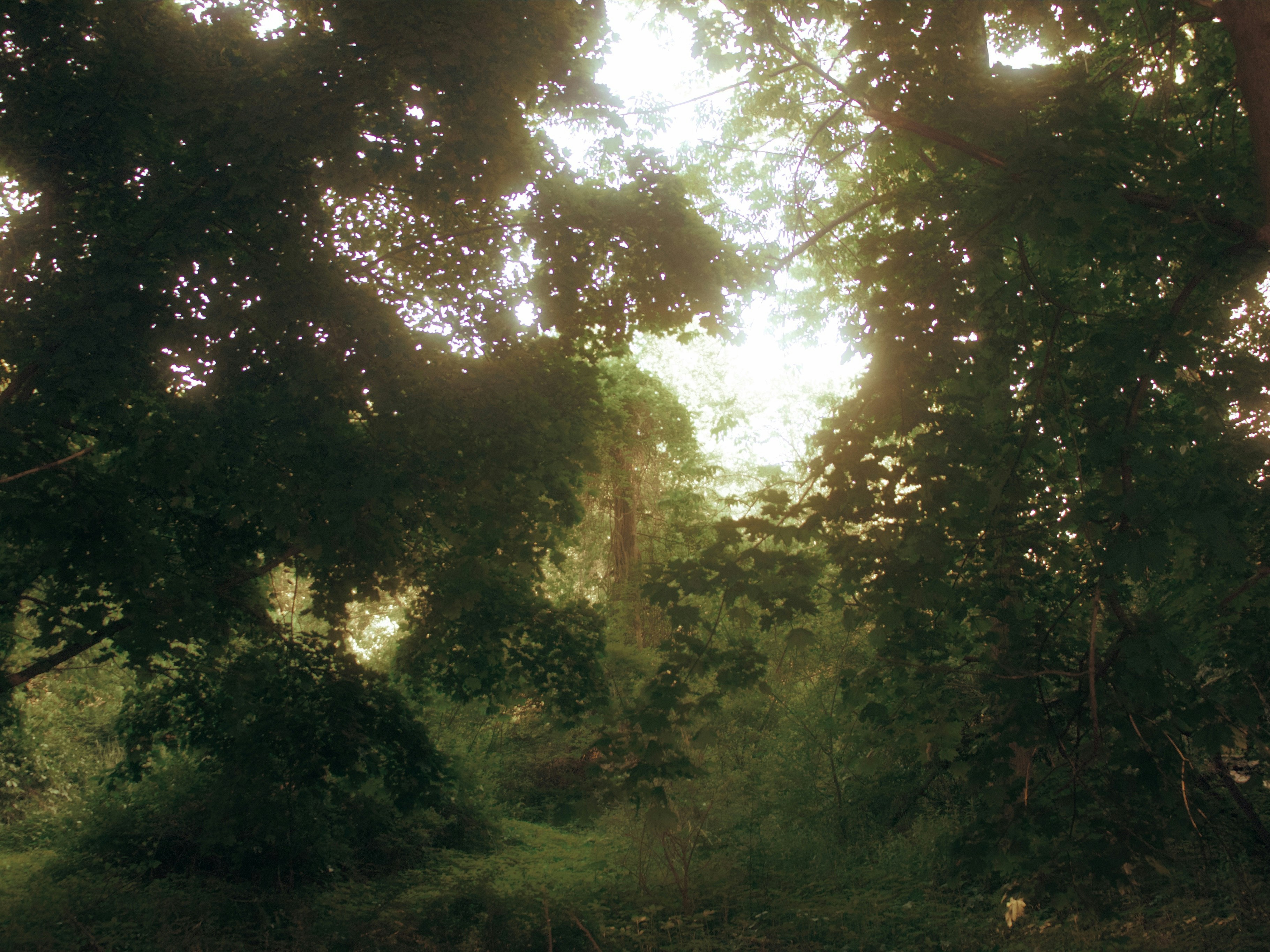 Photo by yiquanzhang