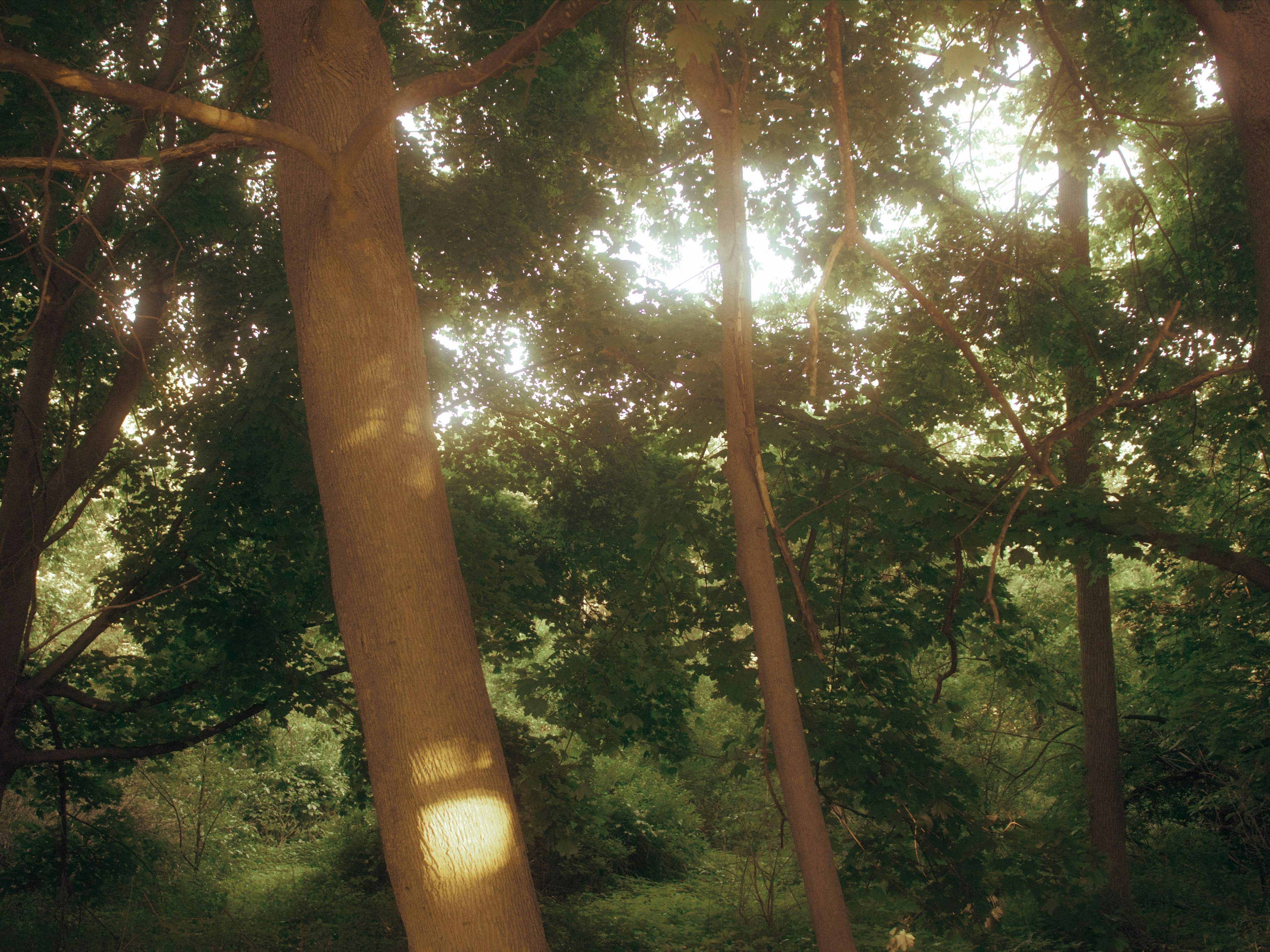 Photo by yiquanzhang