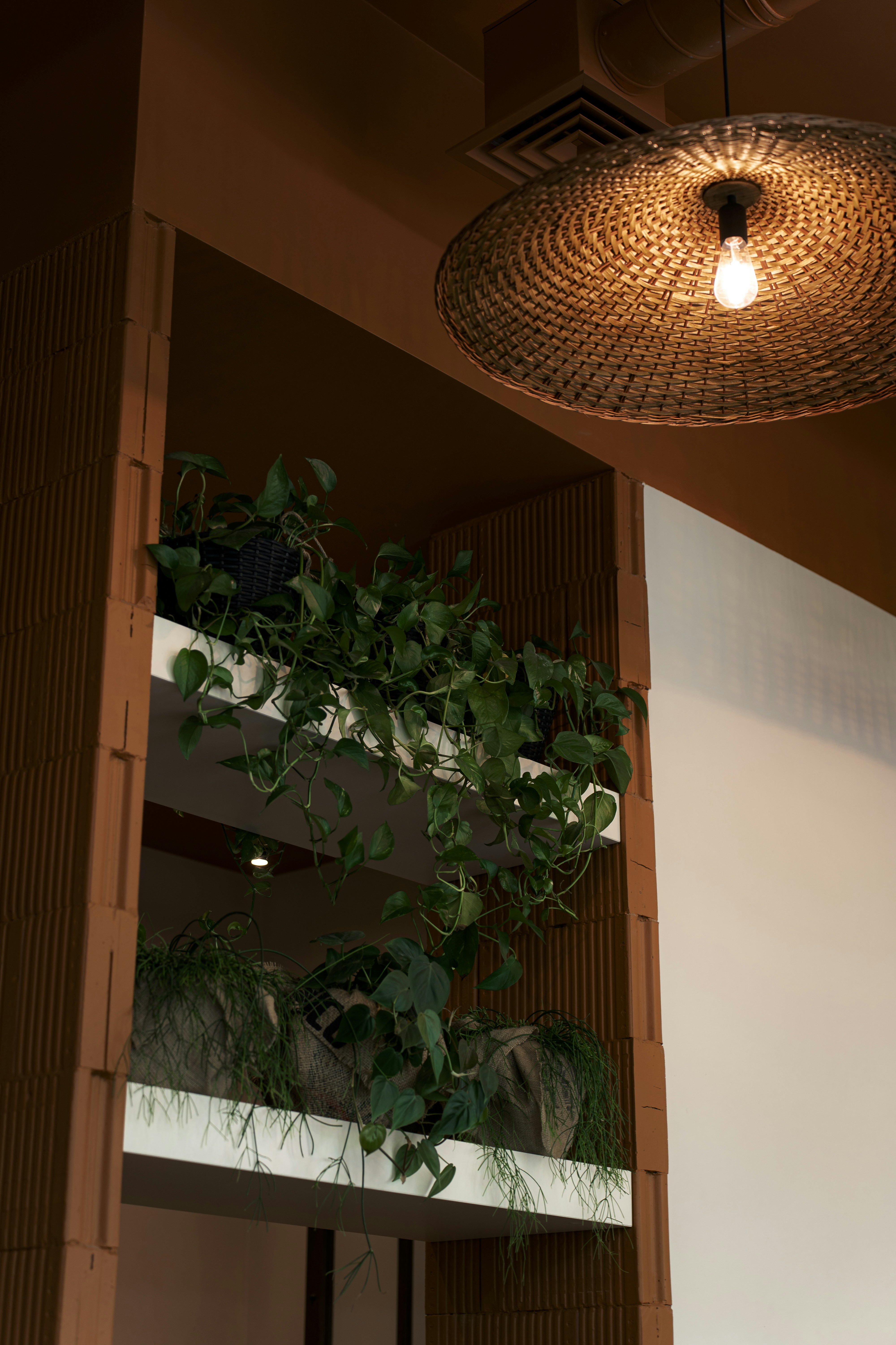 Photo by maksym_tymchyk