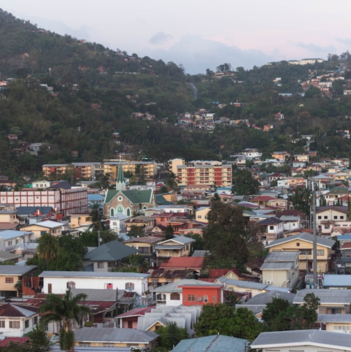 a view of a city with a mountain in the background