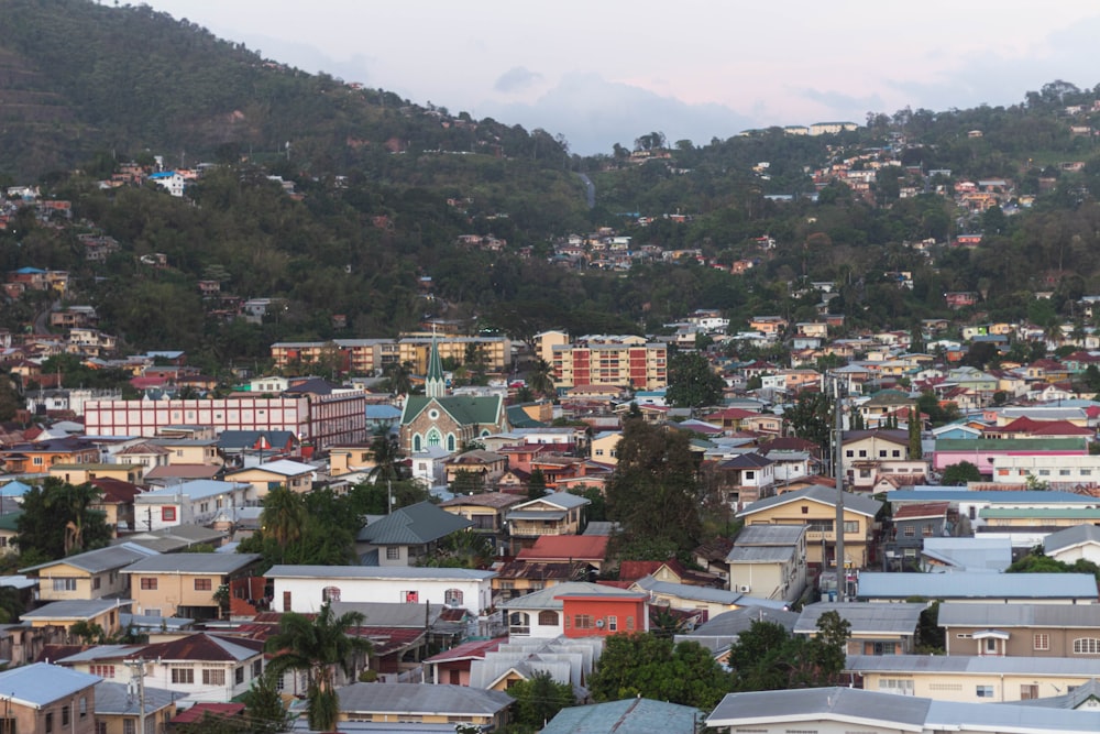 a view of a city with a mountain in the background