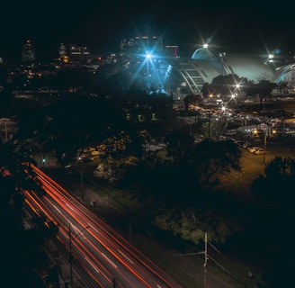 a city skyline at night with a ferris wheel in the background