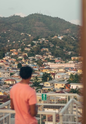 a person standing on a balcony looking at a city