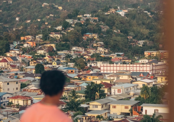 a person standing on a balcony looking at a city