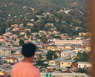 a person standing on a balcony looking at a city